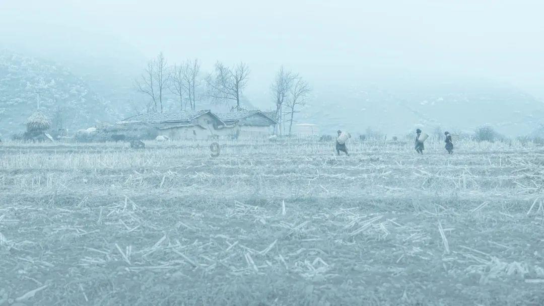 解放初期，我军炮兵总是“帮倒忙”，朱瑞临危受命，炮兵华丽逆袭